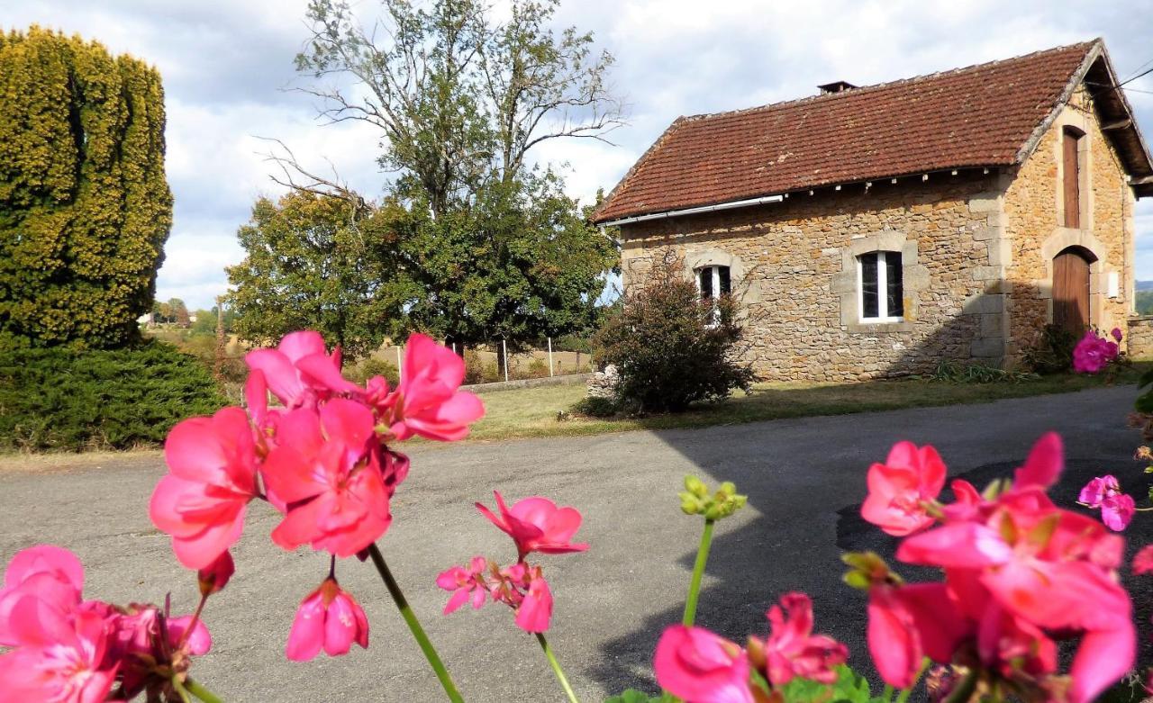 Les Hauts De Malirat Capdenac-Gare Ngoại thất bức ảnh